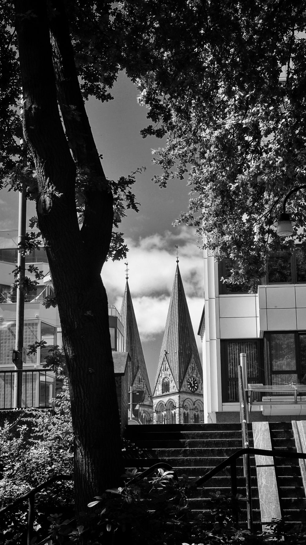 Bischofsnadel, Blick auf die Domtürme