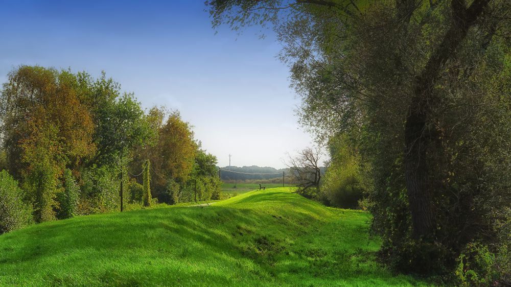 Wümmedeich, Borgfeld