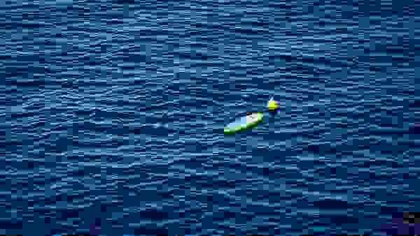 The big blue and the little yellow