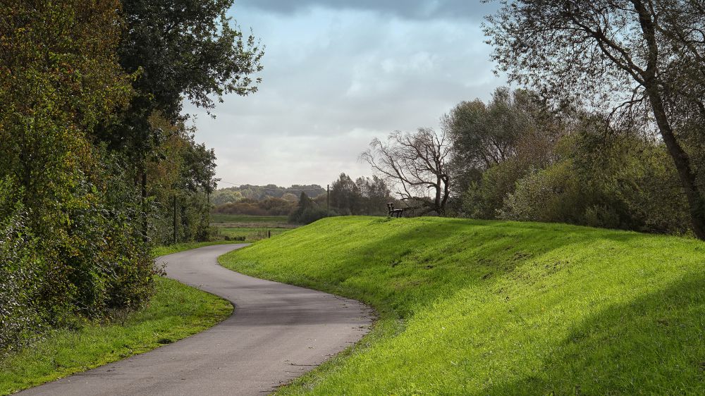 Wümmedeich, Borgfeld II