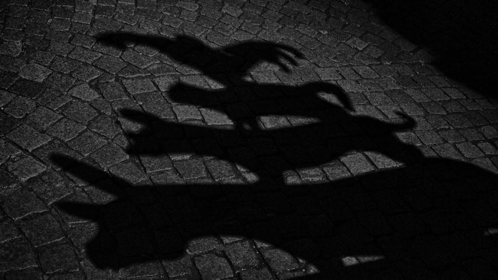 Shadows, Bremer Stadtmusikanten