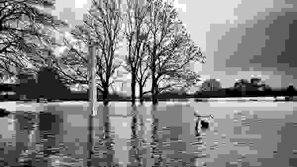 Hochwasser am Weserstadion, Osterdeich Bremen II