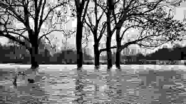 Hochwasser am Weserstadion, Osterdeich Bremen